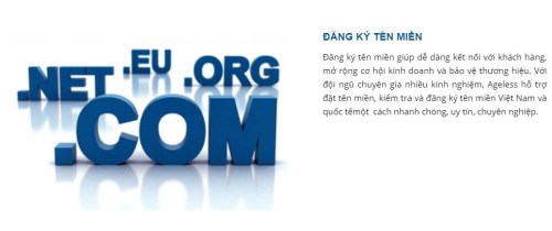 Domain name registration