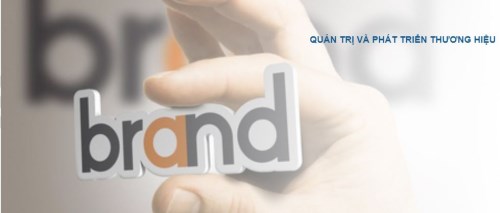 Brand management and development