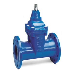 AVK Flange gate valve