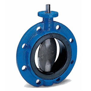 Butterfly Valve