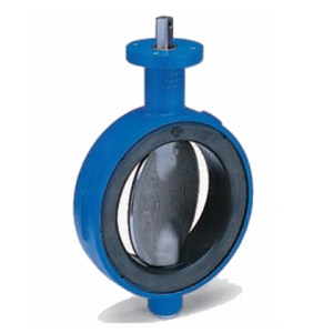 Butterfly Valve