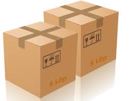 Carton packaging