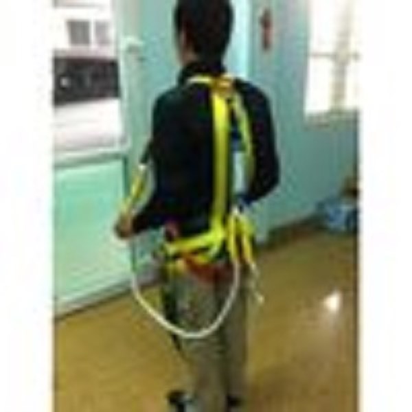 Safety Harness