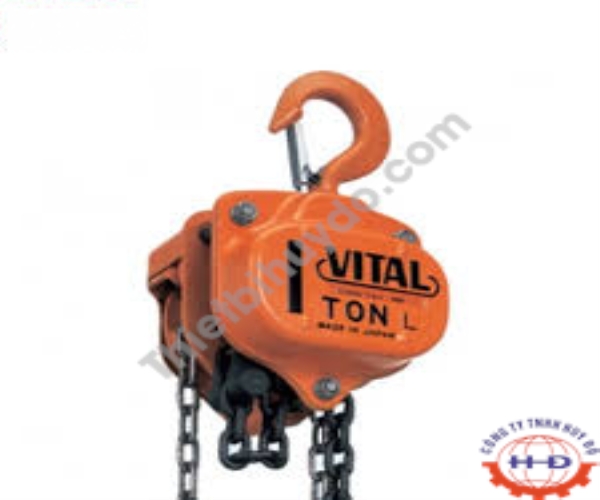 Hoist chain