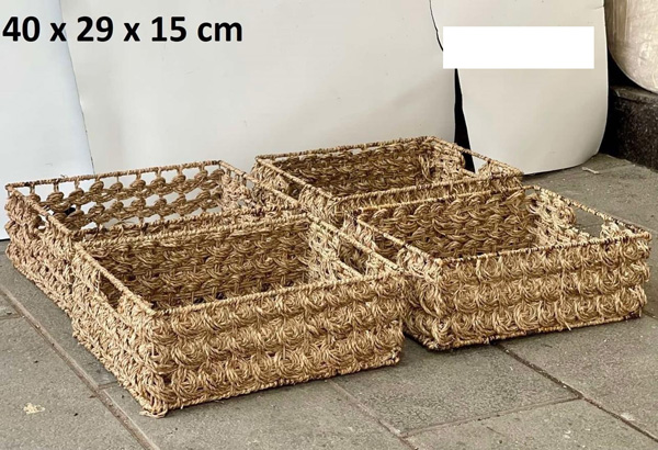 Trays