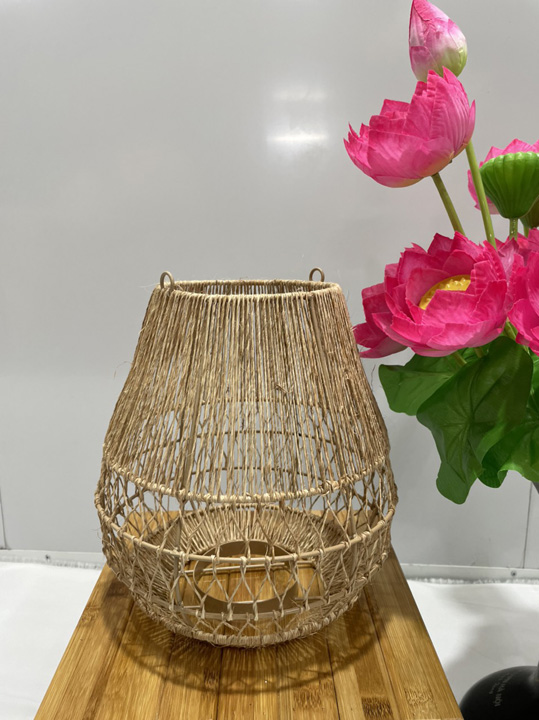 Lampshade cage