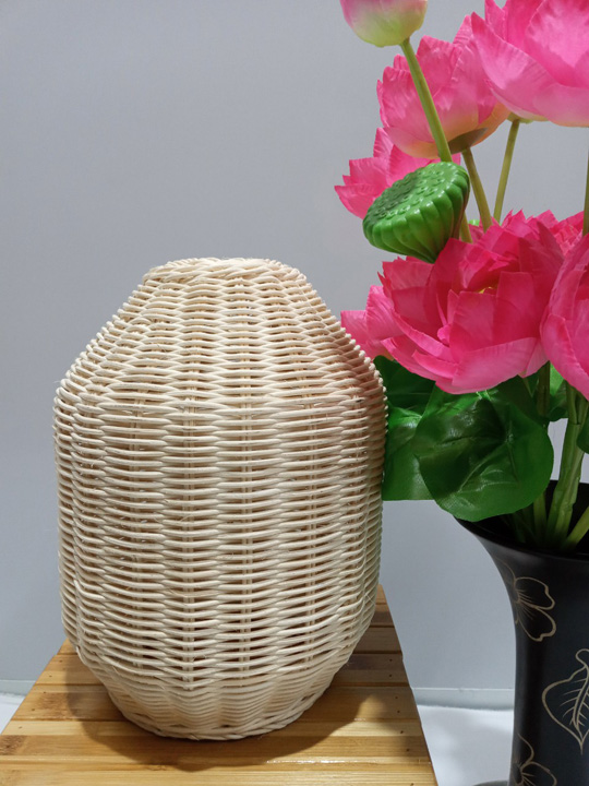 Lampshade cage