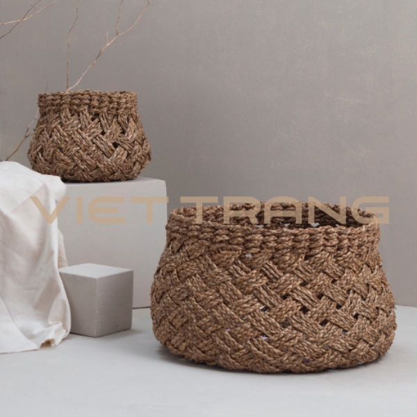 Minimal seagrass planter