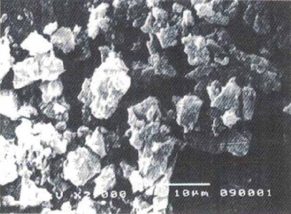 Tinh thể bột nặng (phóng 2000 lần)