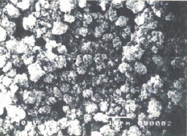 Tinh thể bột nhẹ (phóng 2000 lần)