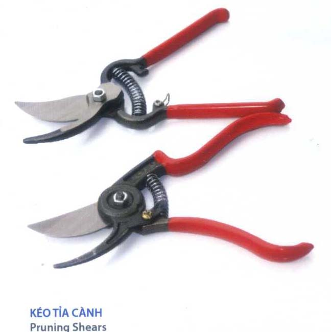 Pruning scissors