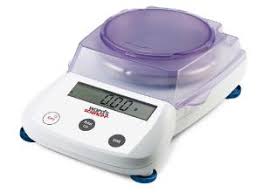 Electronic scale