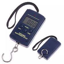 Hook scale