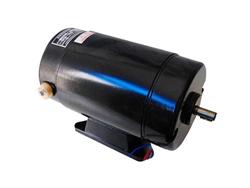 Electric motor