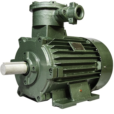 Electric motor