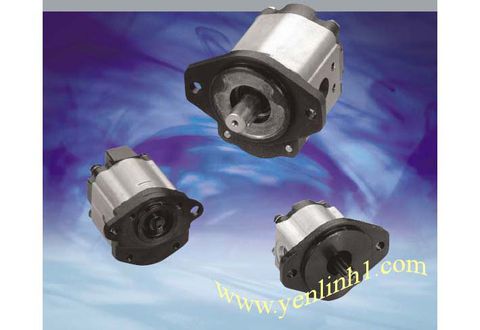 Hydraulic pump