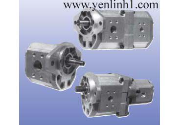 Hydraulic pump