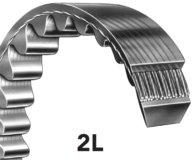 Timing belt