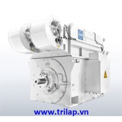 Electric motor
