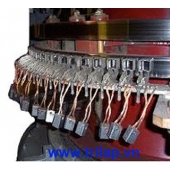 Carbon Brush