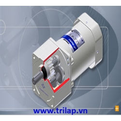 Electric motor