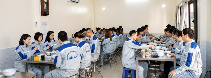 Hai Ha company image