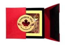 Rigid paper boxes for ginseng