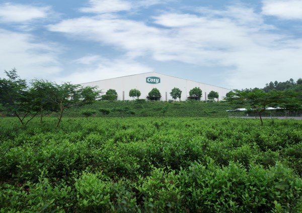 Future Generation Company