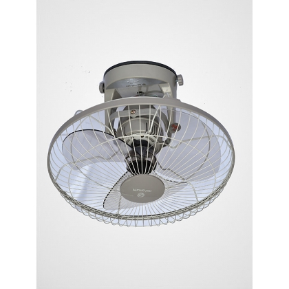 Ceiling fan