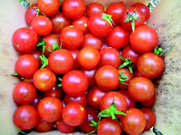 Cherry Tomato