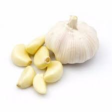 Fresh garlic