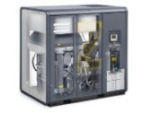 Oil free screw air compressor