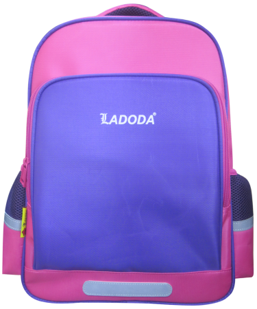 Student Backpack