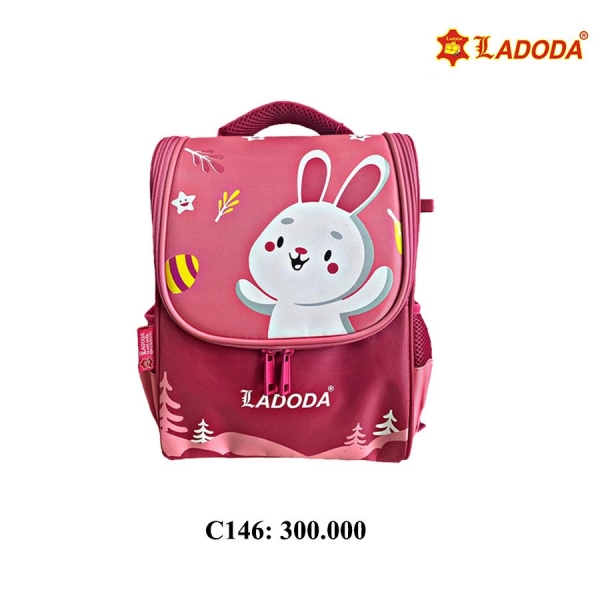 Student Backpack