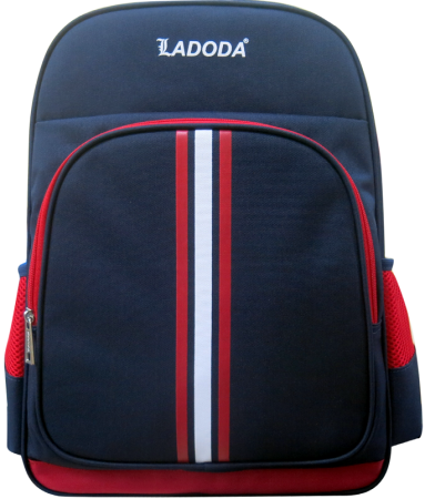 Travel Backpack
