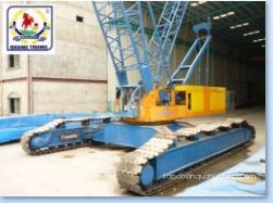 Crawler crane