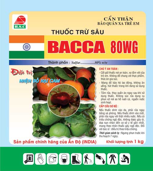 Bacca 80WP