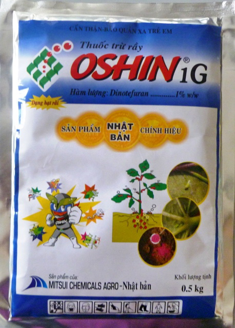 Oshin 1G