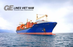 Transport service