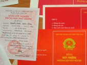 Notarized translation