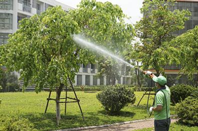 Pest control spraying service
