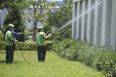 Mosquito control service