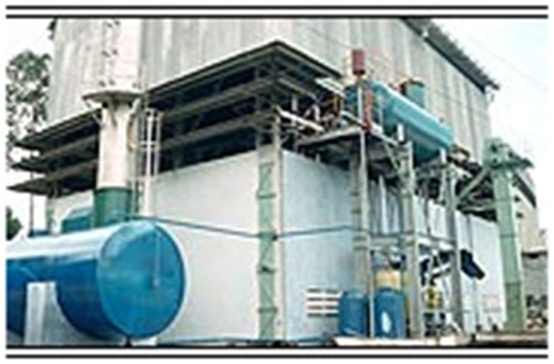 Multi-fuel boilers