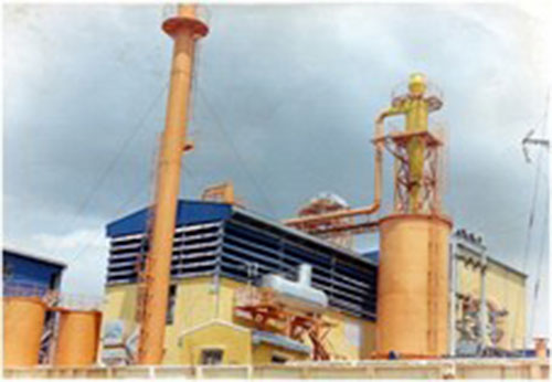 Multi-fuel boilers