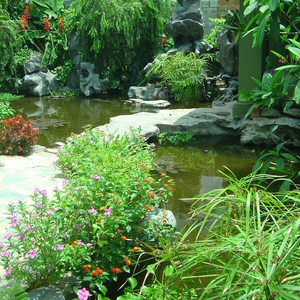 Villa landscaping and construction