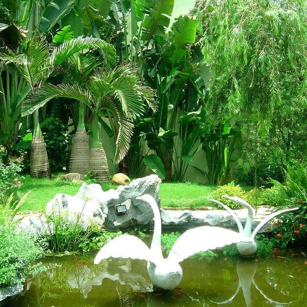Villa landscaping and construction