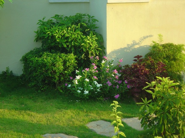 Villa landscaping and construction