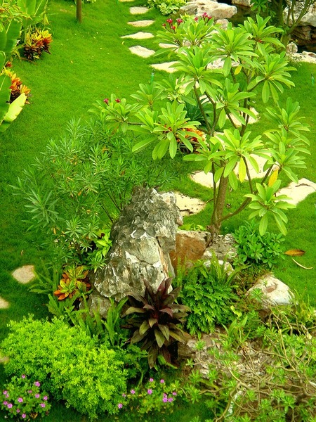 Villa landscaping and construction