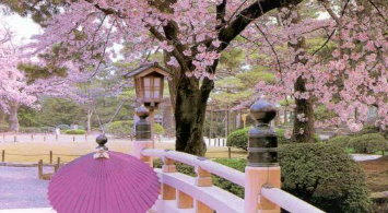 Japan tour