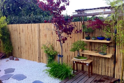 Bamboo fence